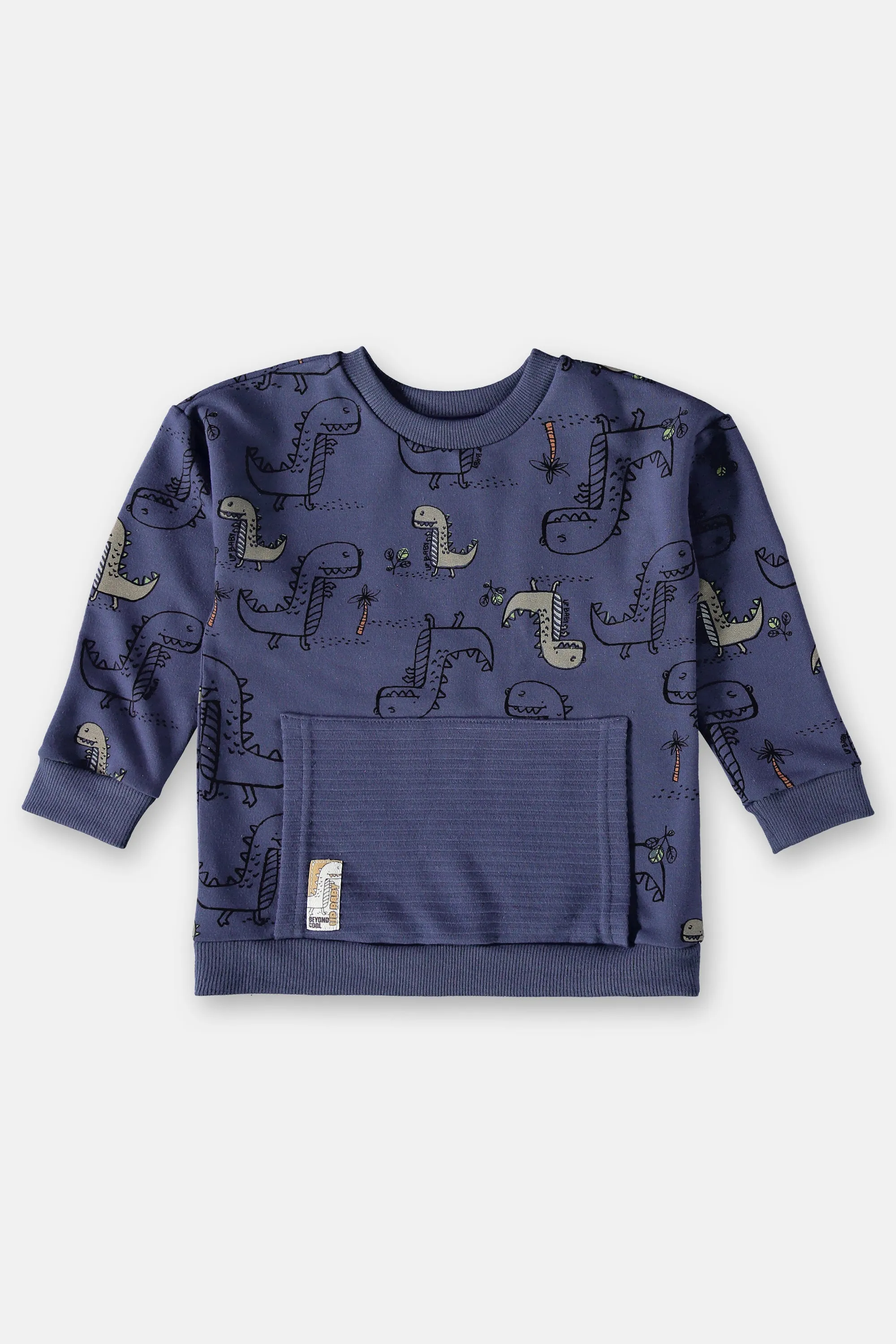 2 Piece Boys Dino Sweatshirt & Pants