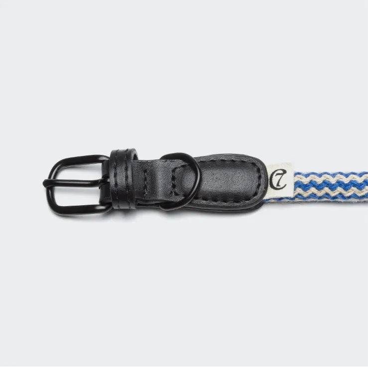 Cloud7 Dog Collar Mauerpark Zigzag Blue