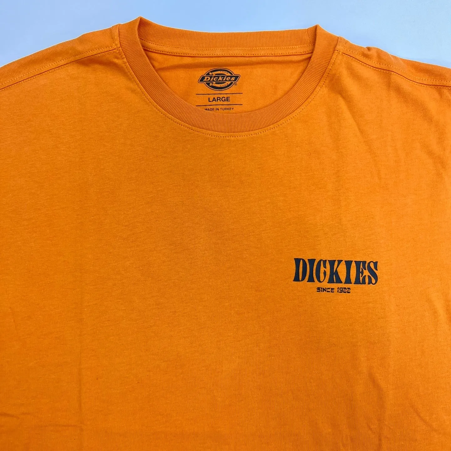 Dickies Kelso Graphic T-Shirt