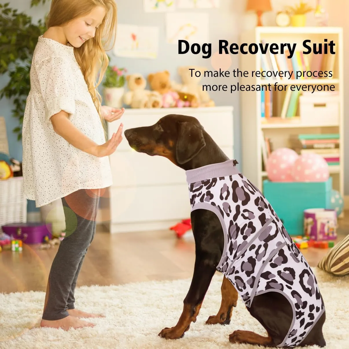 Fashionable Dog Recovery Suit