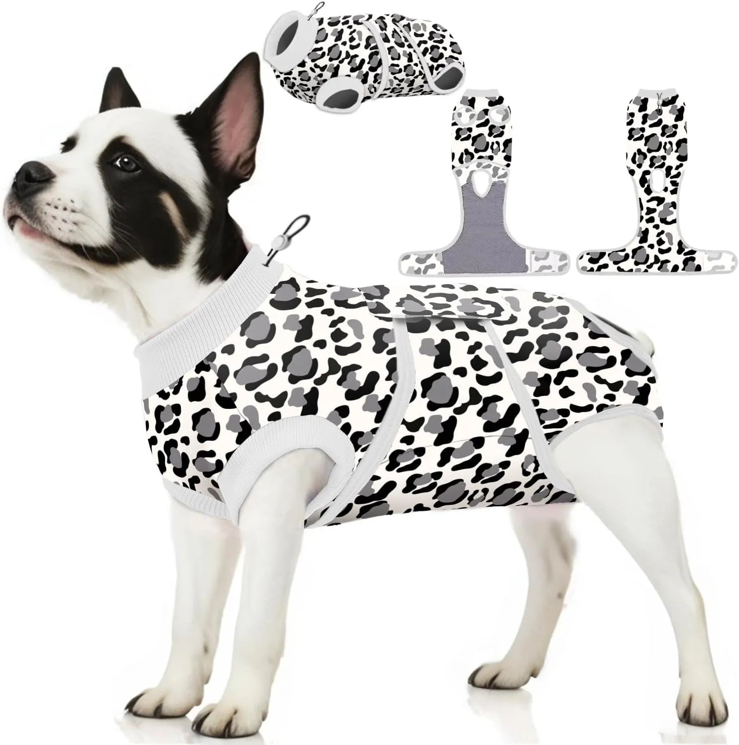 Fashionable Dog Recovery Suit