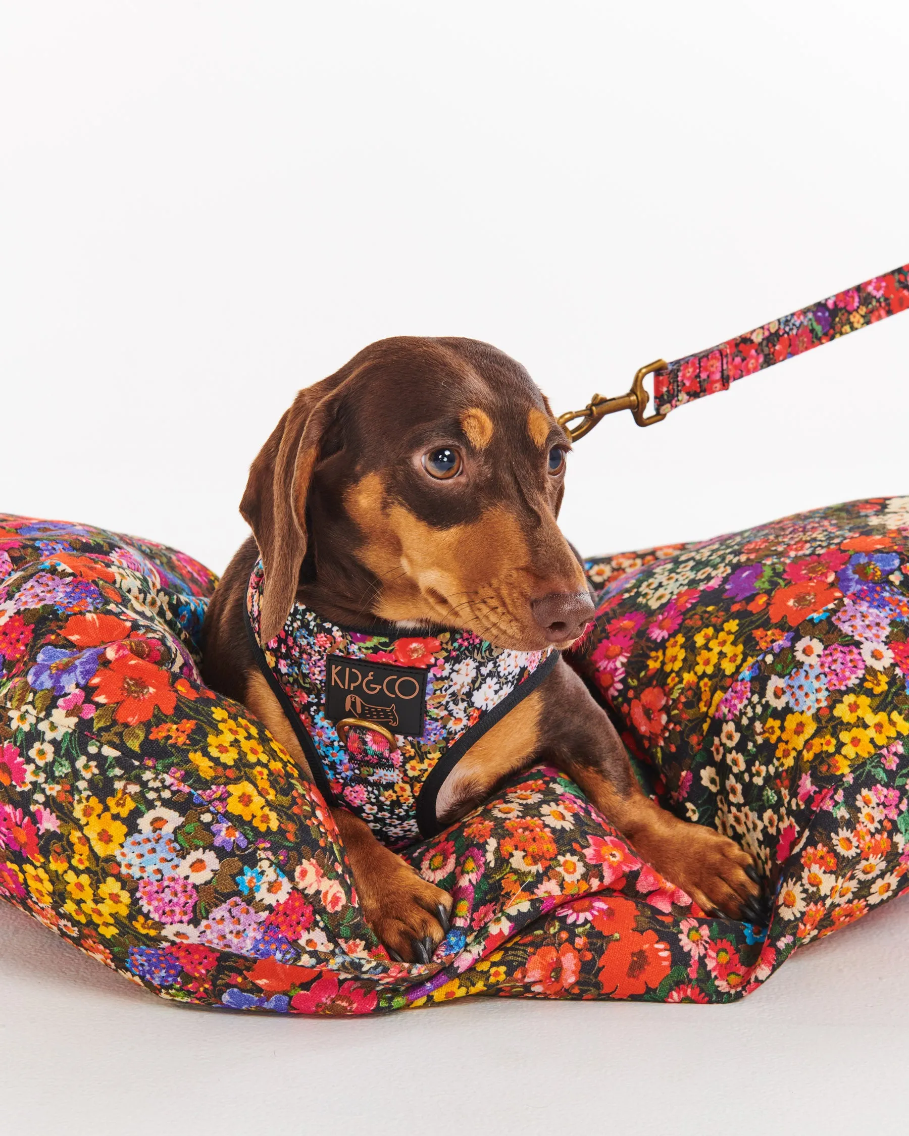 Forever Floral Black Dog Bed