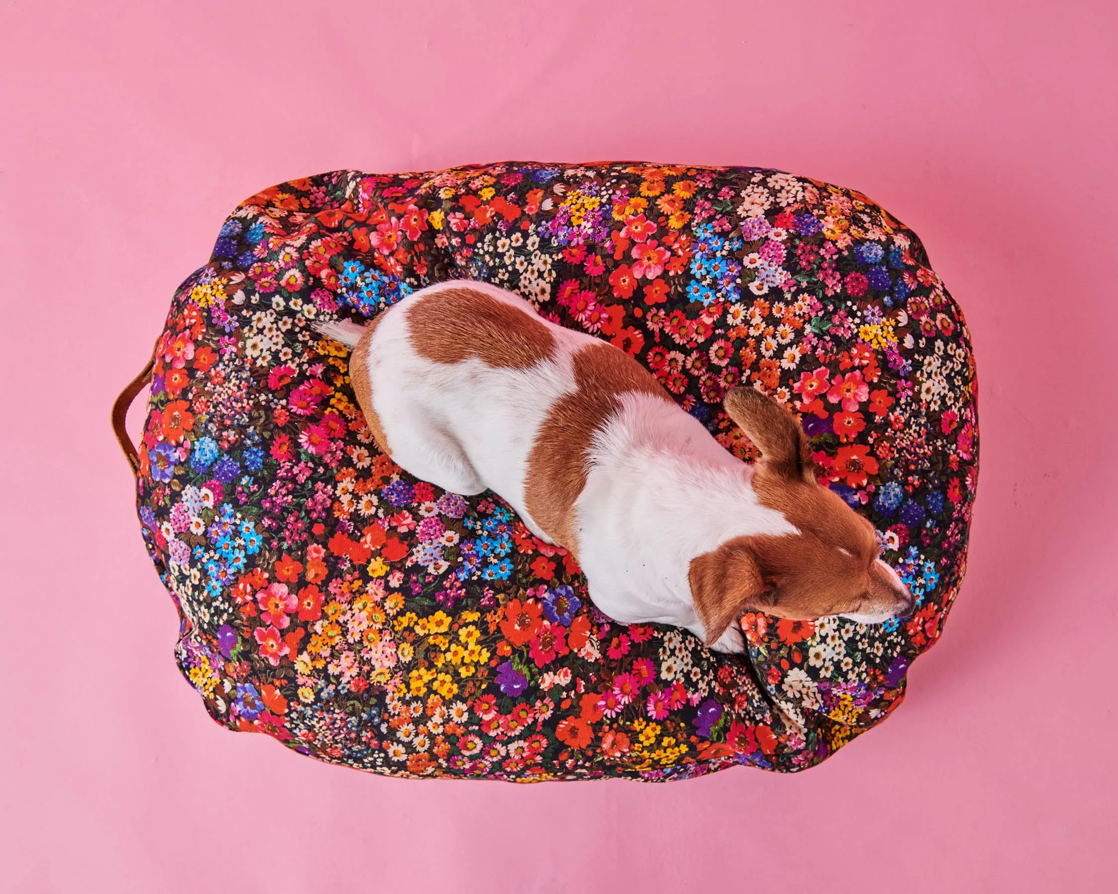 Forever Floral Black Dog Bed