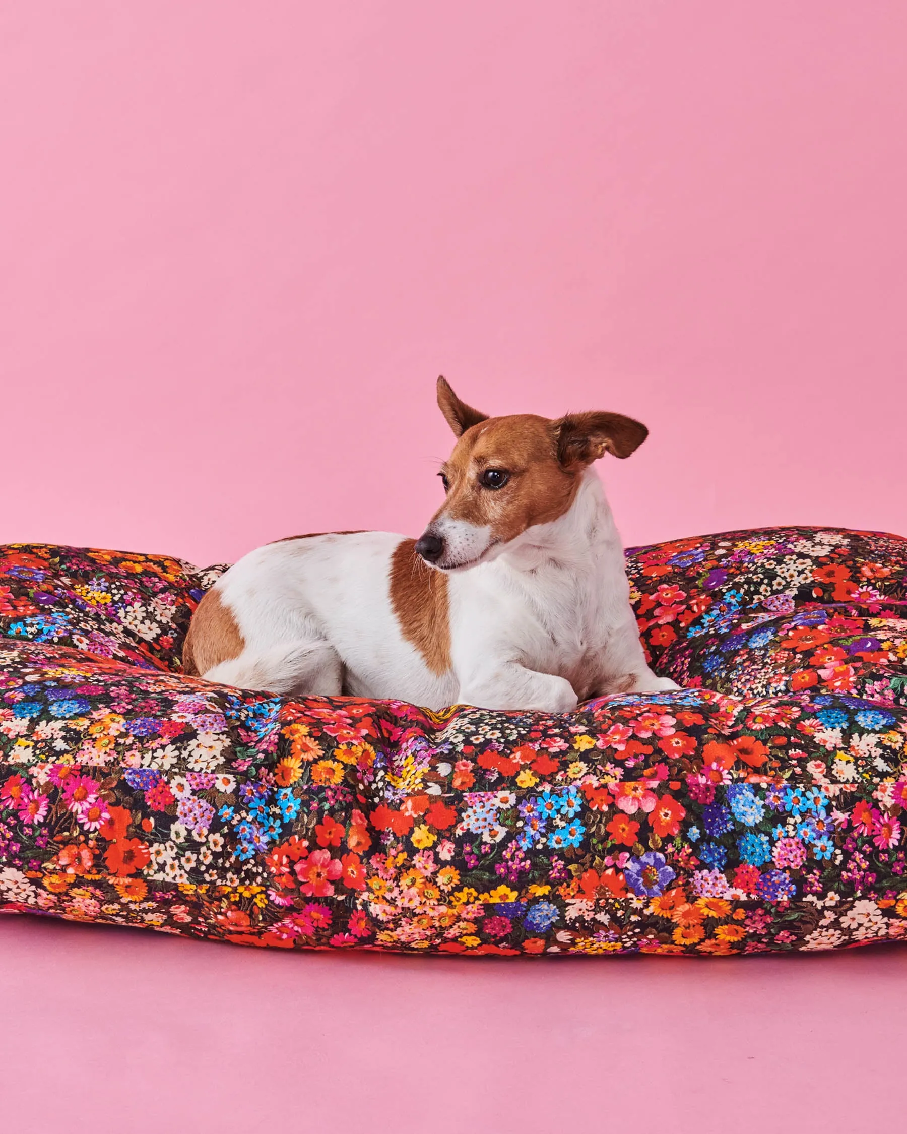 Forever Floral Black Dog Bed