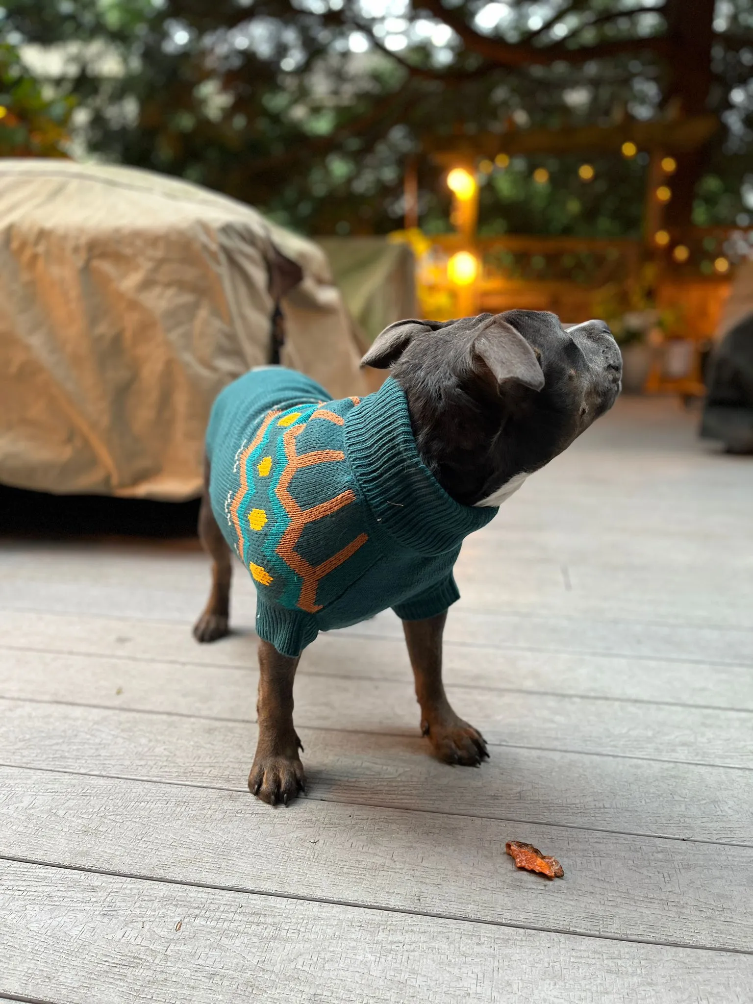 Heritage Dog Sweater