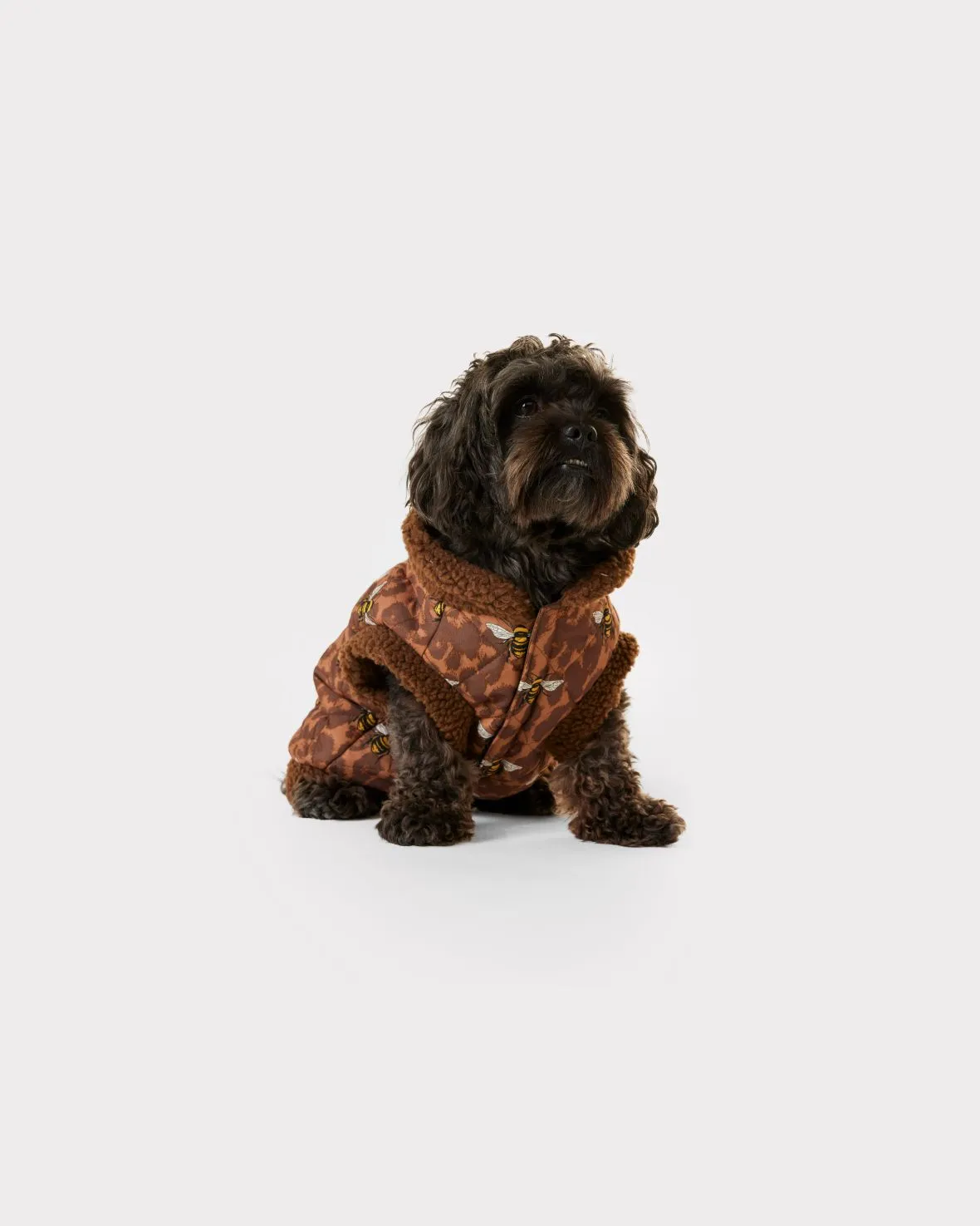 Leopard Bee Print Dogs Quilted Puffer Jacket - Brown