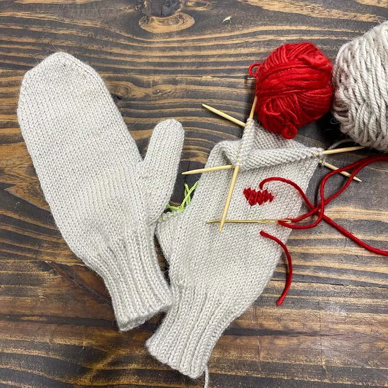 Mitten Workshop — January 2025