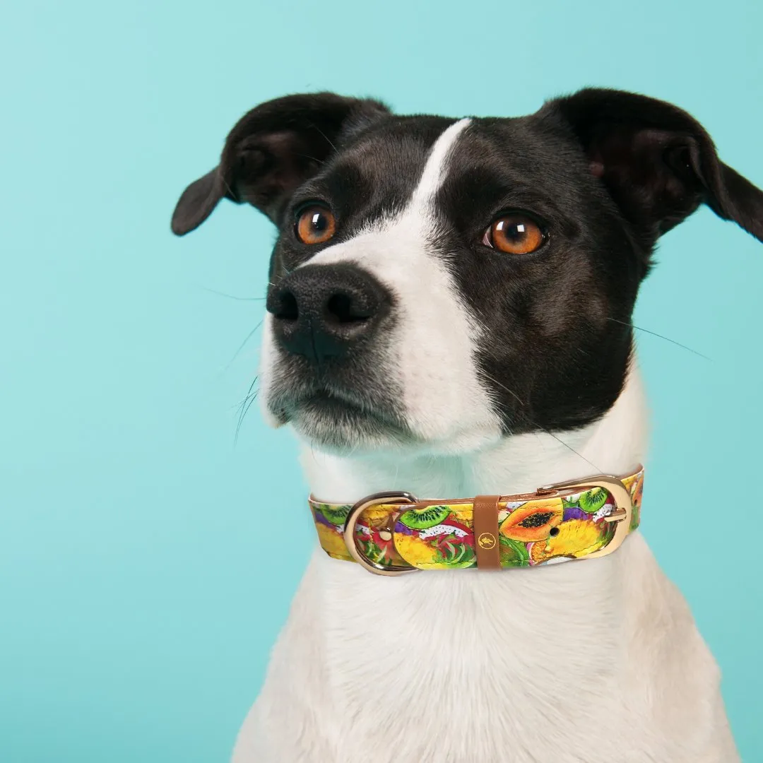 "Tutti i Frutti" Collar & Bracelet