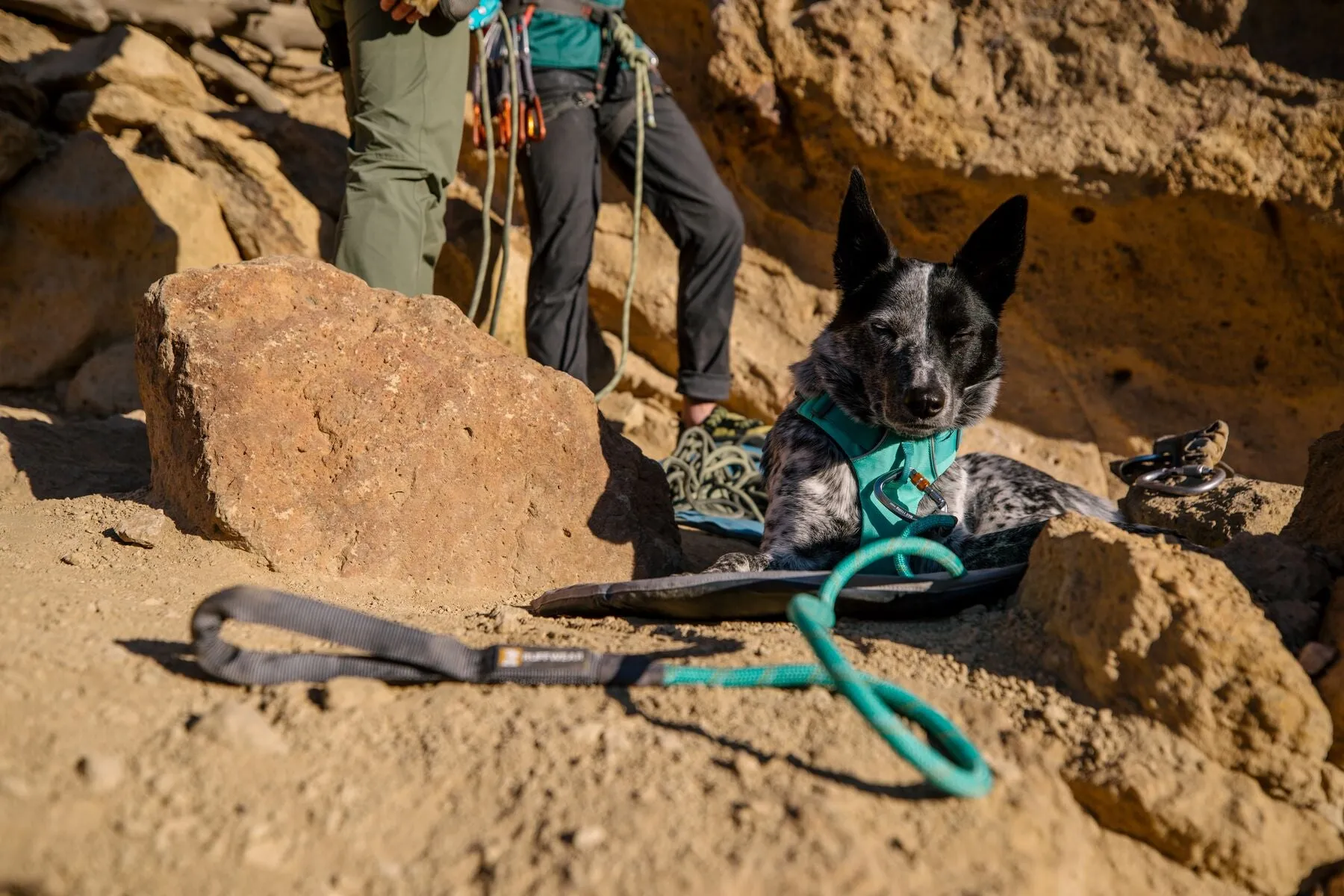 Ruffwear Knot-a-Leash™ Rope Dog Leash