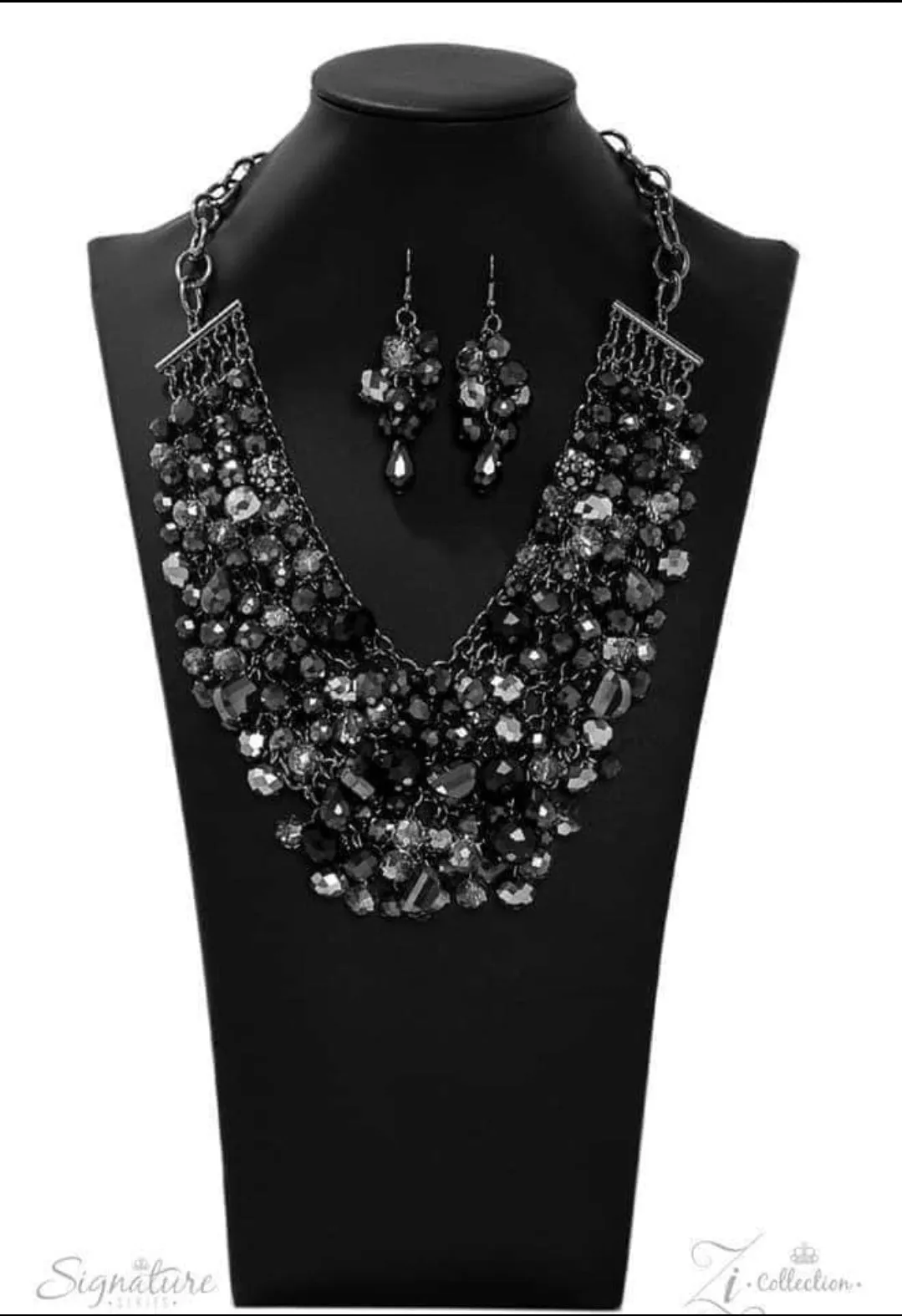 The TaylorLee Zi Collection Necklace and Matching Earrings - Paparazzi Accessories -