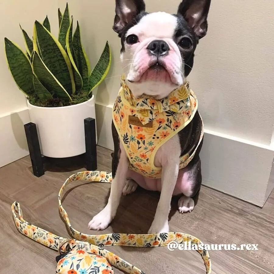 Yellow Floral Bowtie Unbreakable Collar™ & Leash Set