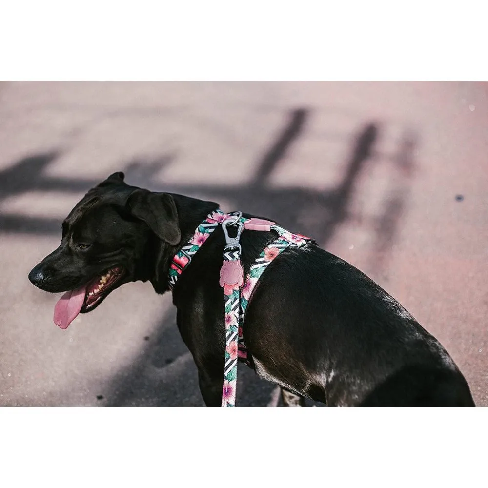 Zee.Dog Mahalo H Dog Harness