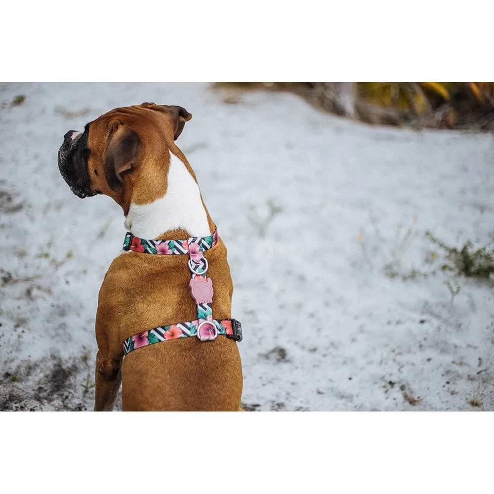 Zee.Dog Mahalo H Dog Harness